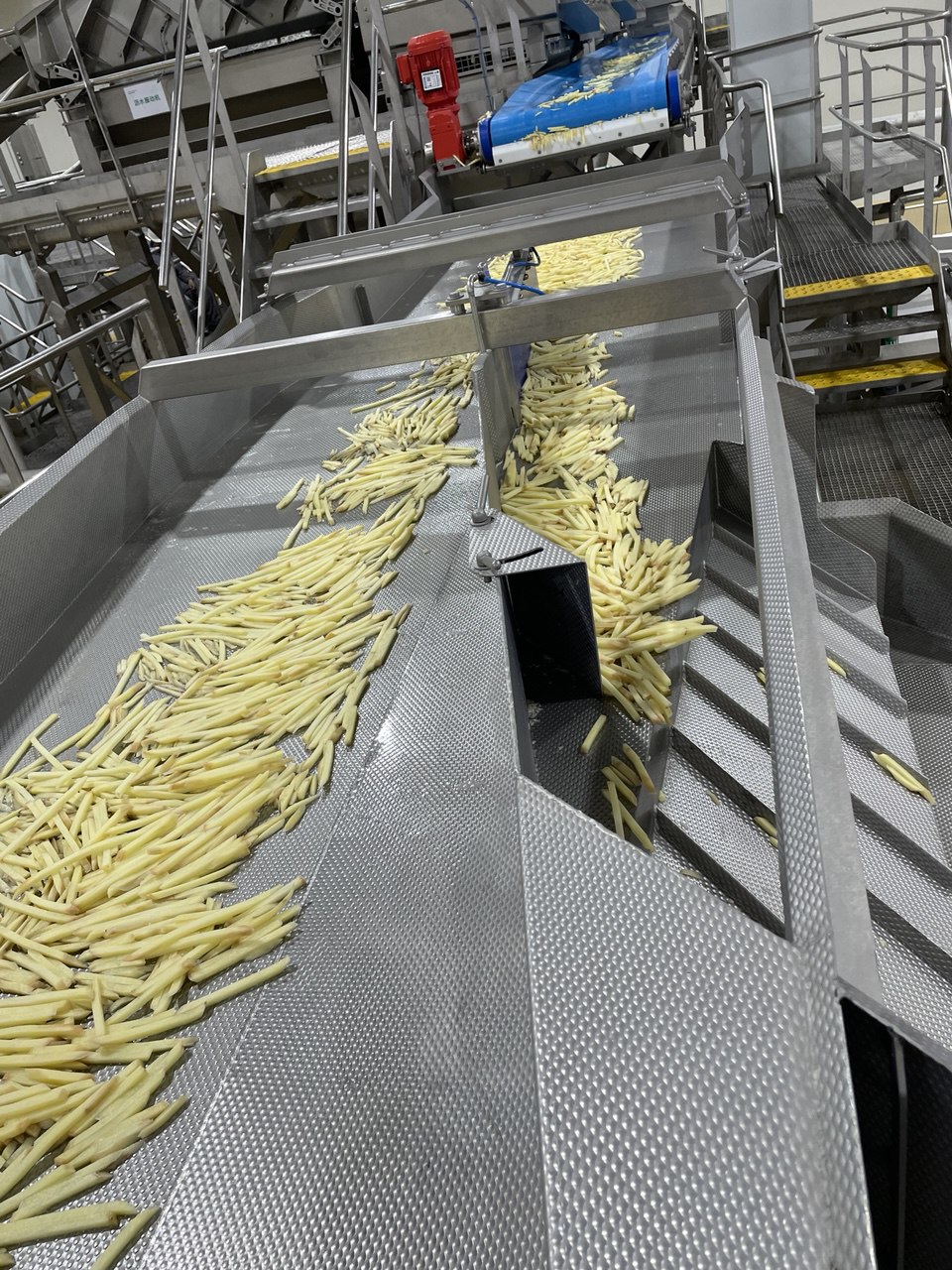 Aviko China Xilinhot Factory Phase II - 1